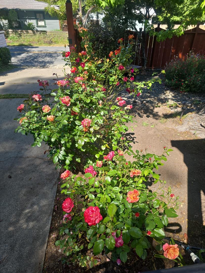 Detail Gallery Image 13 of 14 For 8494 Glen Arbor Rd, Ben Lomond,  CA 95005 - 2 Beds | 1 Baths