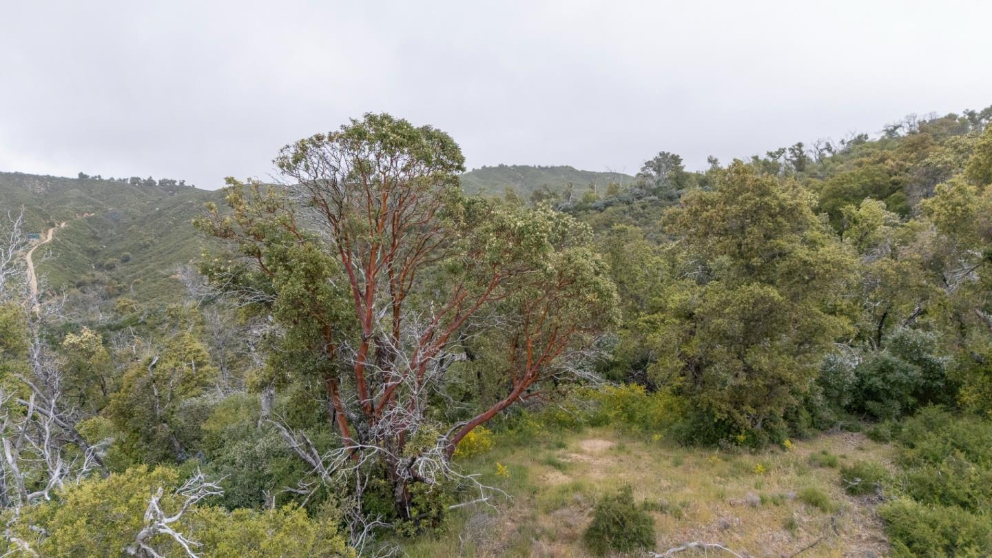 Detail Gallery Image 17 of 40 For 37855 Palo Colorado Rd, Carmel,  CA 93923 - – Beds | – Baths