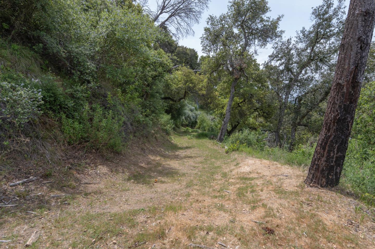 Detail Gallery Image 37 of 40 For 37855 Palo Colorado Rd, Carmel,  CA 93923 - – Beds | – Baths
