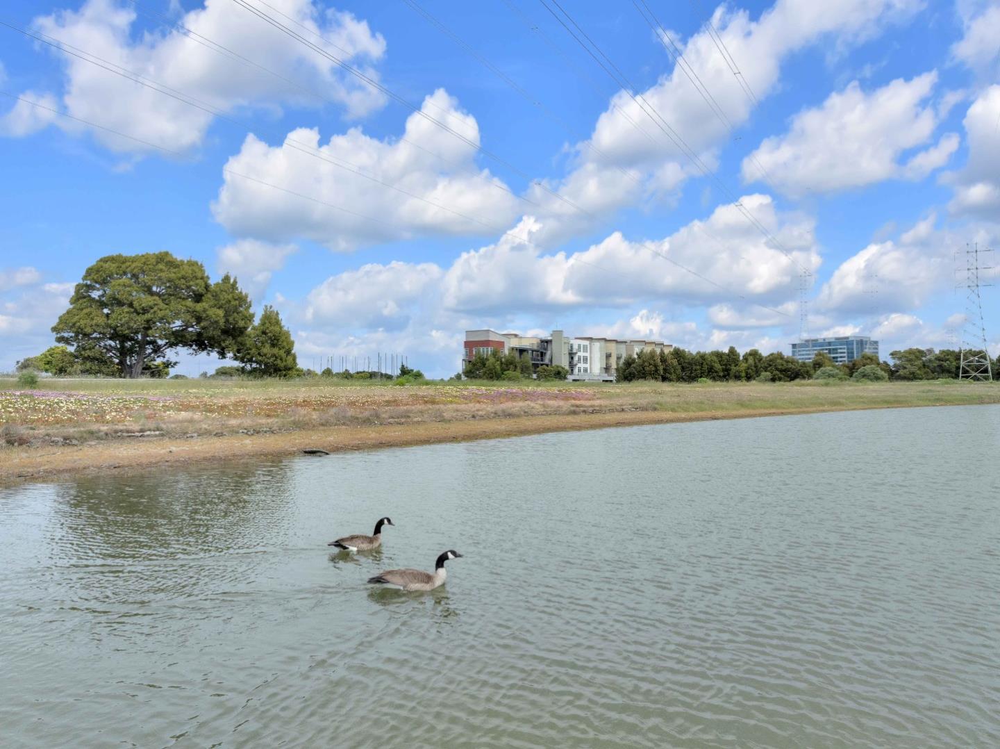 Detail Gallery Image 42 of 68 For 400 Mariners Island Blvd #214,  San Mateo,  CA 94404 - 2 Beds | 2 Baths