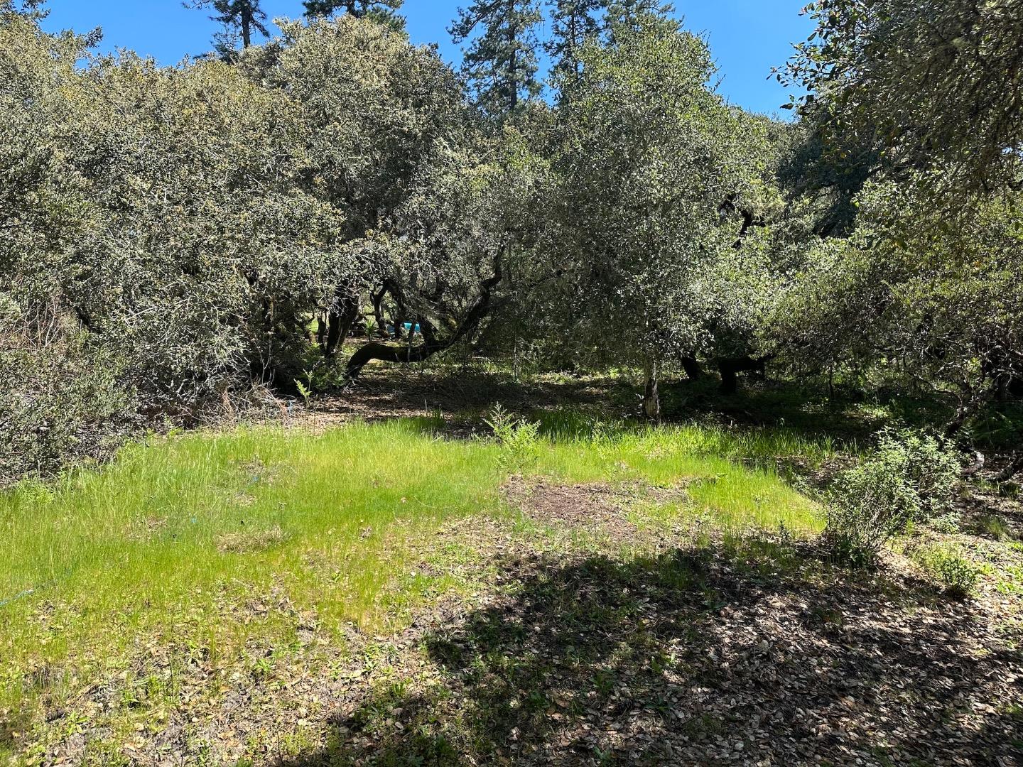 Detail Gallery Image 11 of 23 For 000 Hidden Glen Dr, Scotts Valley,  CA 95066 - – Beds | – Baths