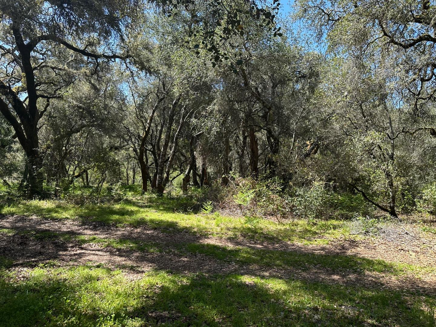 Detail Gallery Image 12 of 23 For 000 Hidden Glen Dr, Scotts Valley,  CA 95066 - – Beds | – Baths