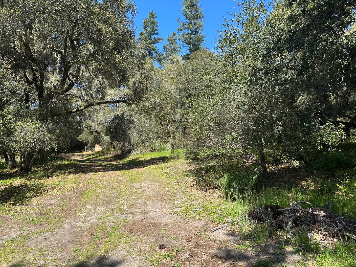 Detail Gallery Image 7 of 23 For 000 Hidden Glen Dr, Scotts Valley,  CA 95066 - – Beds | – Baths