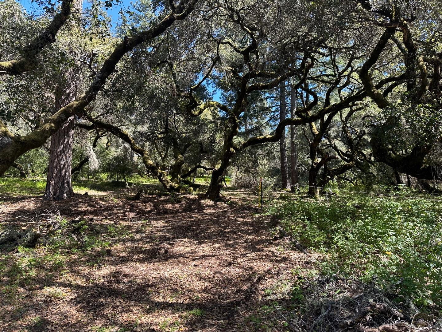 Detail Gallery Image 8 of 23 For 000 Hidden Glen Dr, Scotts Valley,  CA 95066 - – Beds | – Baths