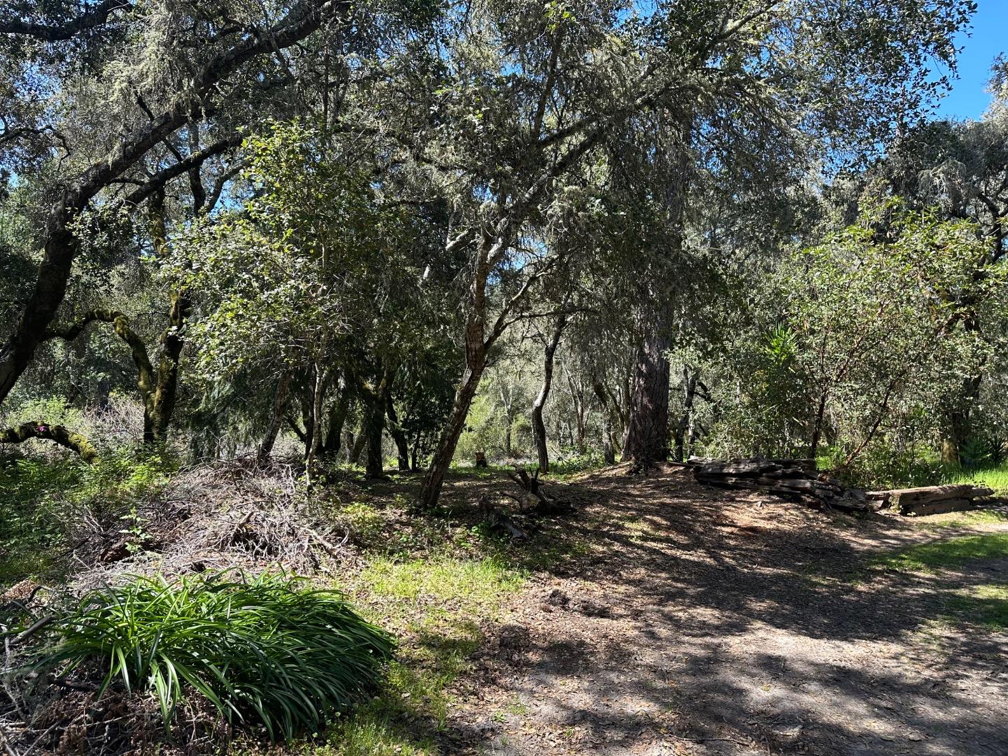 Detail Gallery Image 9 of 23 For 000 Hidden Glen Dr, Scotts Valley,  CA 95066 - – Beds | – Baths