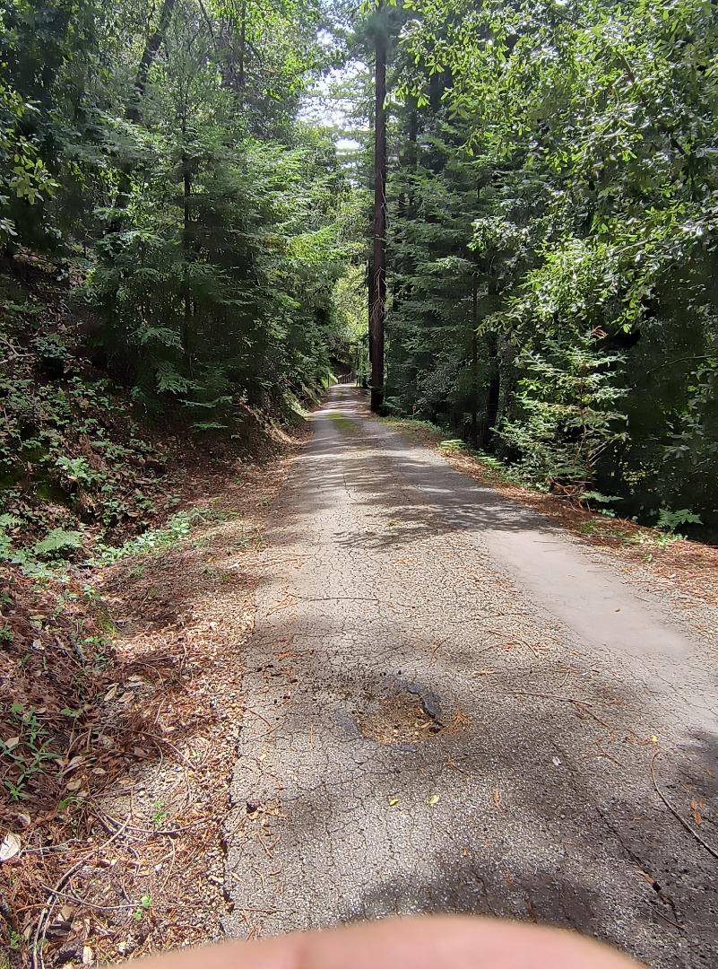 Detail Gallery Image 37 of 38 For 1380 Amaya Ridge Rd, Soquel,  CA 95073 - 3 Beds | 2/1 Baths