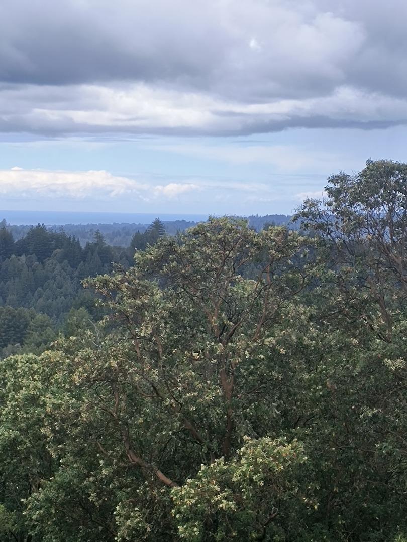 Detail Gallery Image 6 of 38 For 1380 Amaya Ridge Rd, Soquel,  CA 95073 - 3 Beds | 2/1 Baths