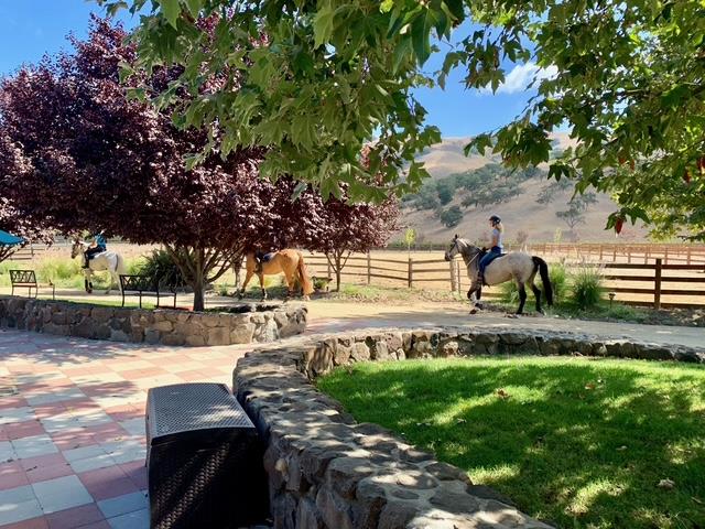 Detail Gallery Image 10 of 15 For 3970 Leavesley Rd, Gilroy,  CA 95020 - – Beds | – Baths