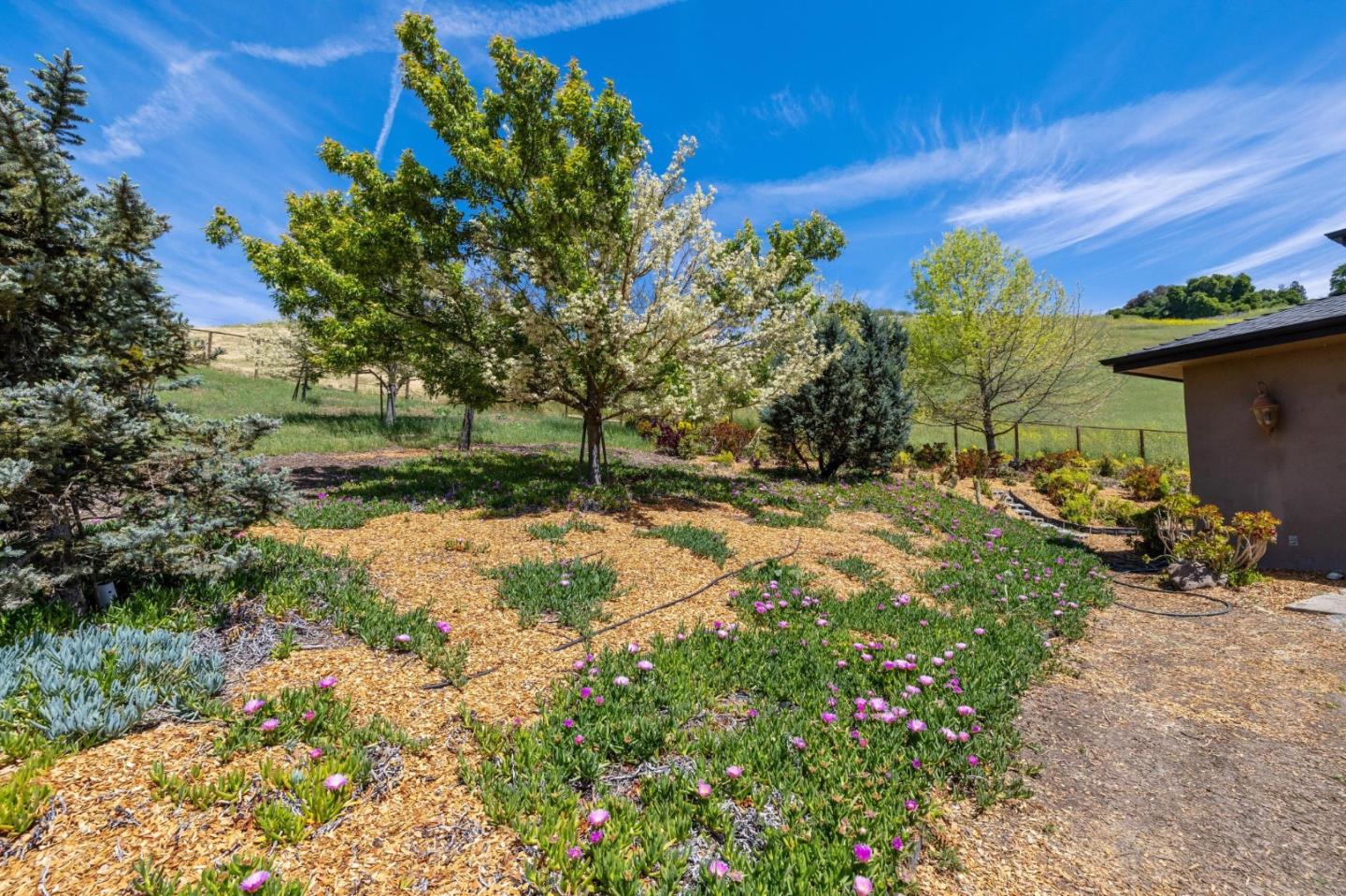 Detail Gallery Image 104 of 110 For 9540 via Del Oro, Gilroy,  CA 95020 - 4 Beds | 3/1 Baths