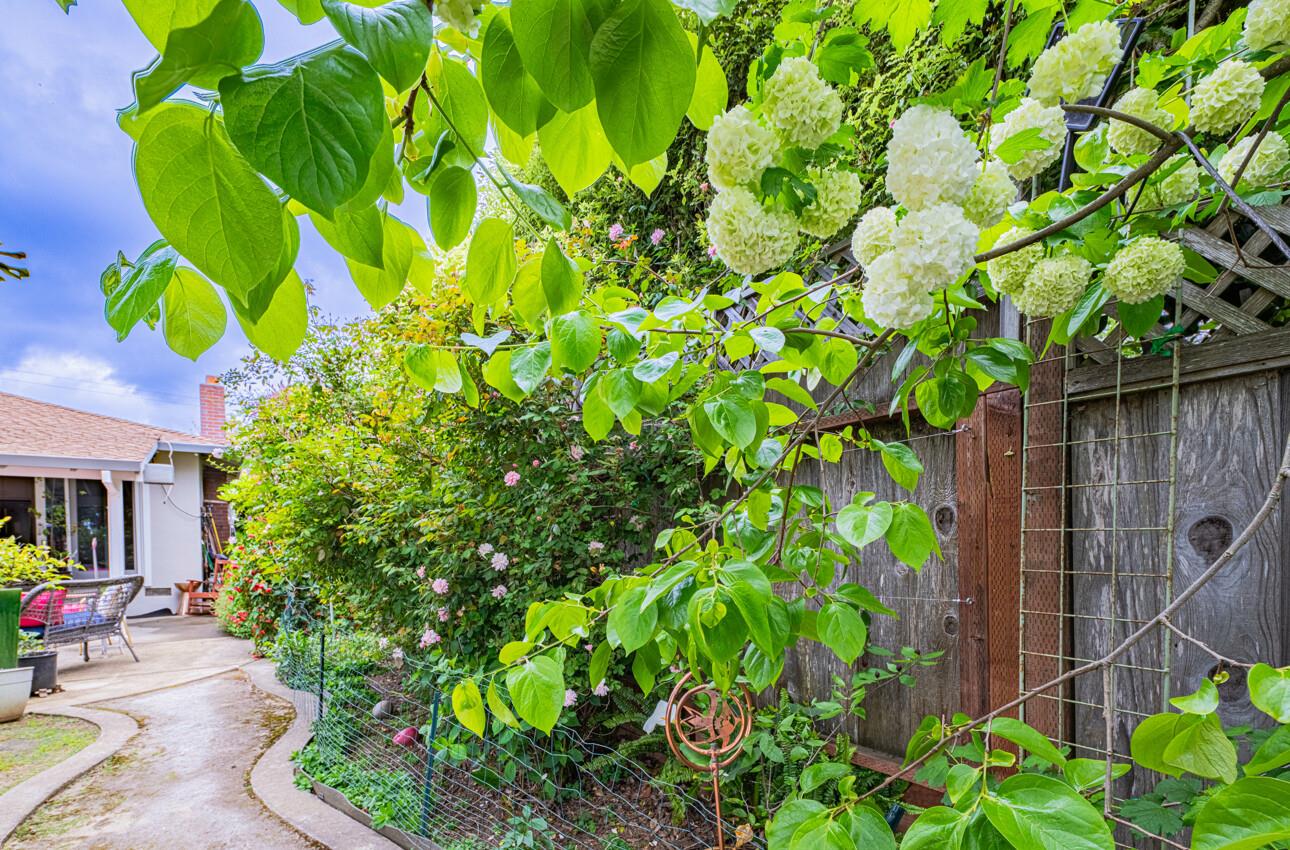 Detail Gallery Image 39 of 51 For 29 Karen Dr, Watsonville,  CA 95076 - 3 Beds | 2/1 Baths