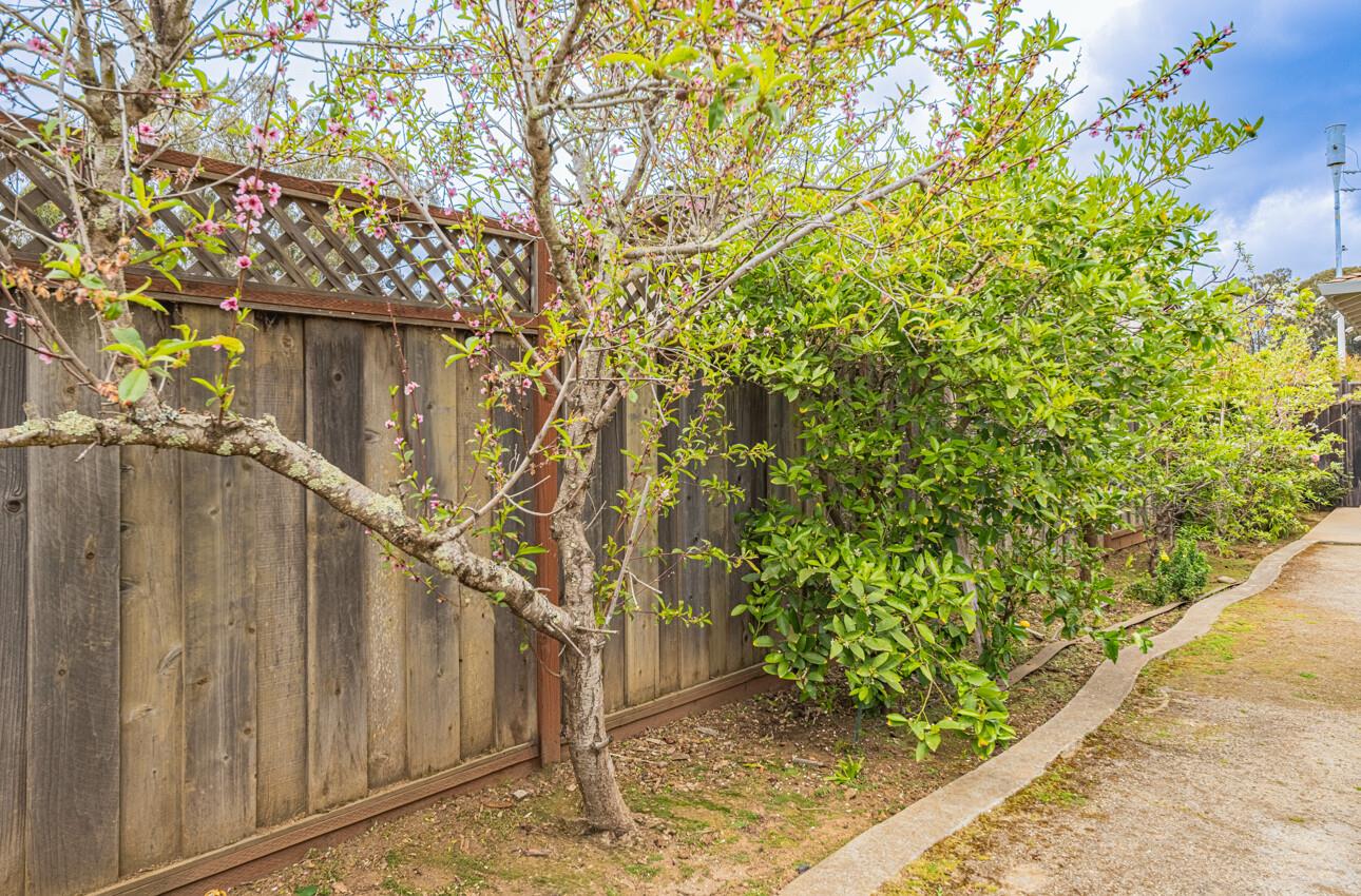 Detail Gallery Image 40 of 51 For 29 Karen Dr, Watsonville,  CA 95076 - 3 Beds | 2/1 Baths