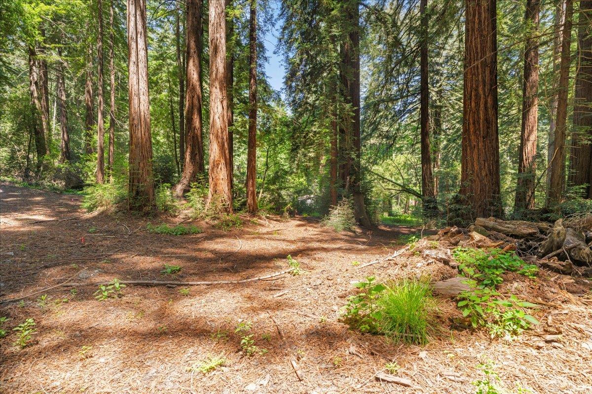 Detail Gallery Image 13 of 15 For 0 Grove St, Los Gatos,  CA 95030 - – Beds | – Baths