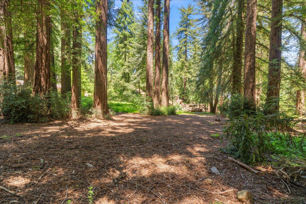 Detail Gallery Image 6 of 15 For 0 Grove St, Los Gatos,  CA 95030 - – Beds | – Baths
