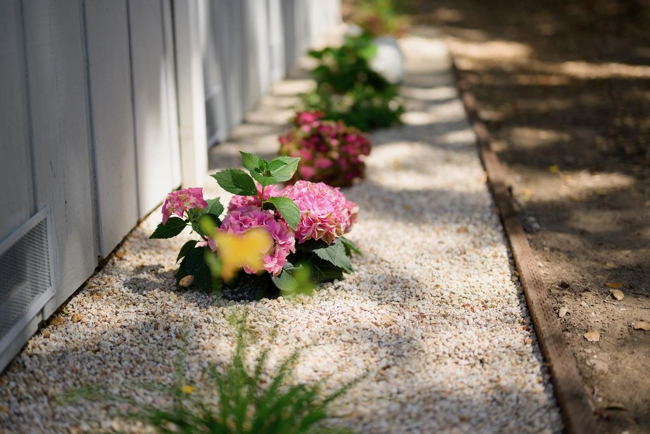 Detail Gallery Image 11 of 73 For 15 Cumbre Ln, Scotts Valley,  CA 95066 - 3 Beds | 2 Baths