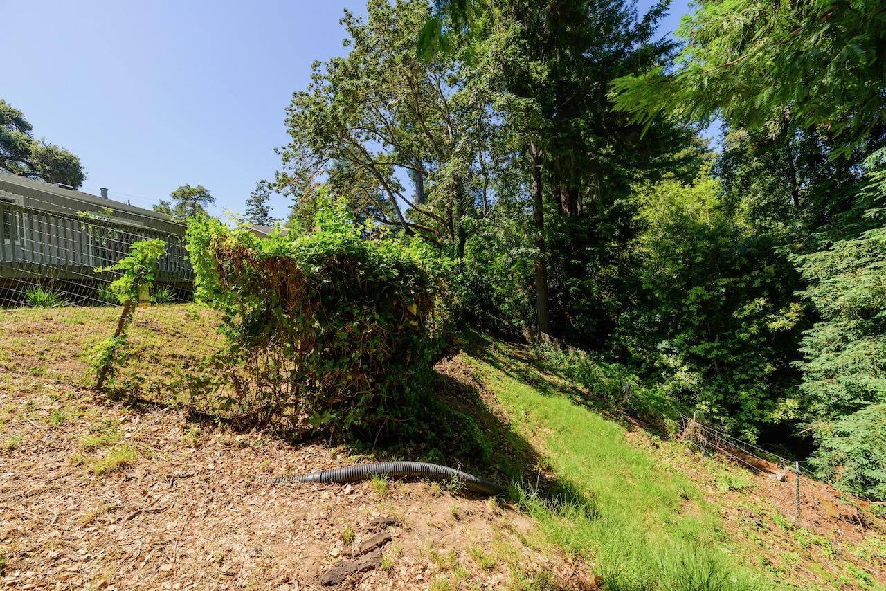 Detail Gallery Image 59 of 73 For 15 Cumbre Ln, Scotts Valley,  CA 95066 - 3 Beds | 2 Baths