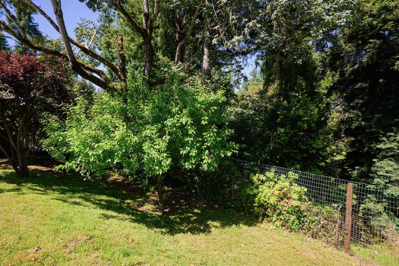 Detail Gallery Image 61 of 73 For 15 Cumbre Ln, Scotts Valley,  CA 95066 - 3 Beds | 2 Baths
