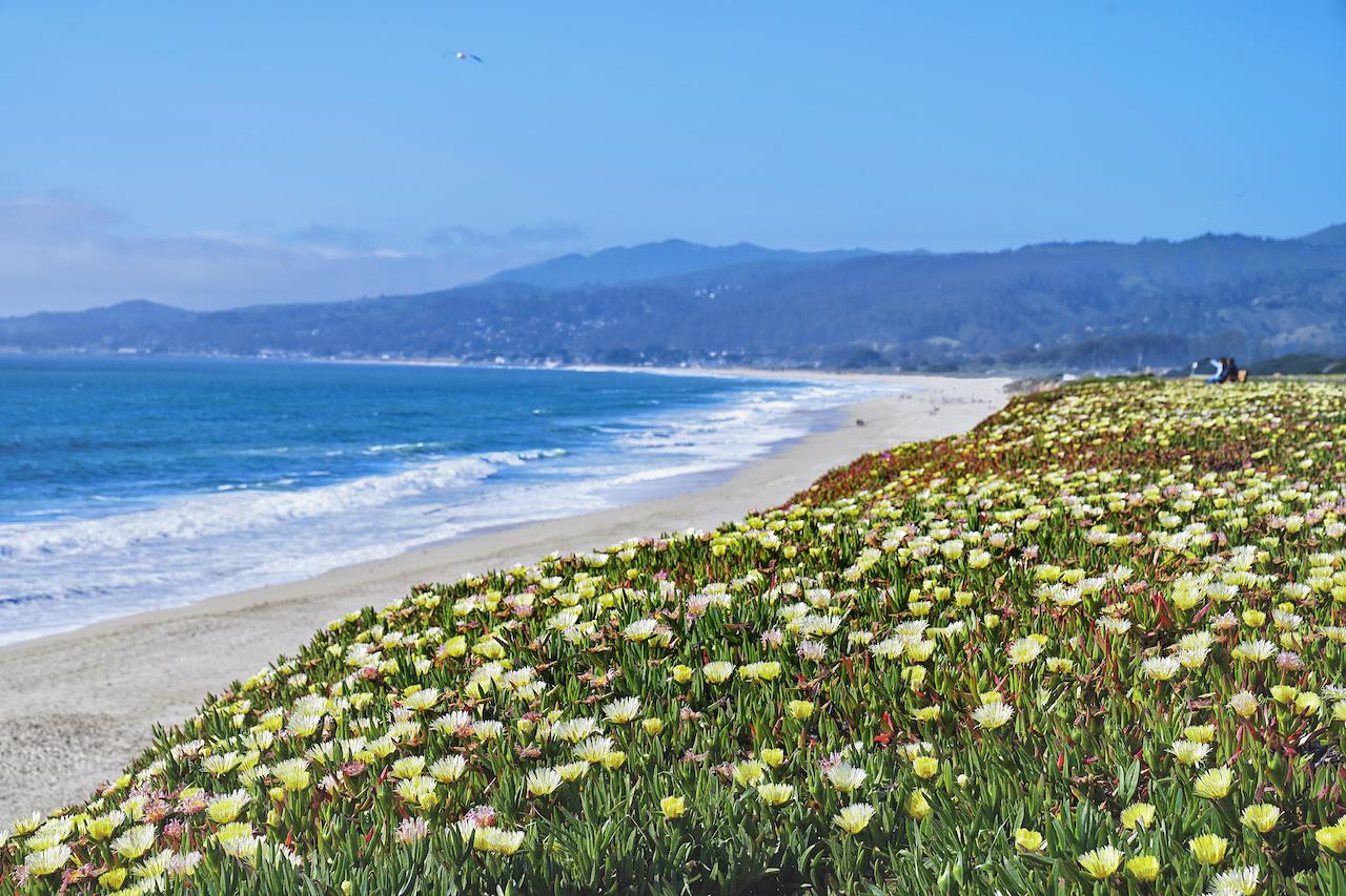 Detail Gallery Image 32 of 33 For 335 Grove St, Half Moon Bay,  CA 94019 - 3 Beds | 2 Baths