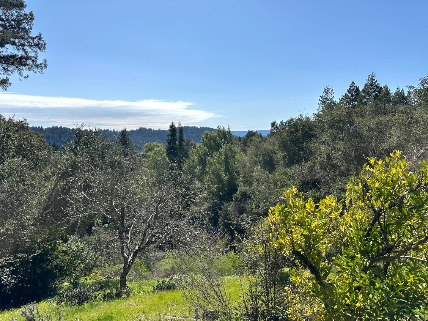 Detail Gallery Image 25 of 28 For 24705 Santa Cruz Hwy, Los Gatos,  CA 95033 - 4 Beds | 3/1 Baths
