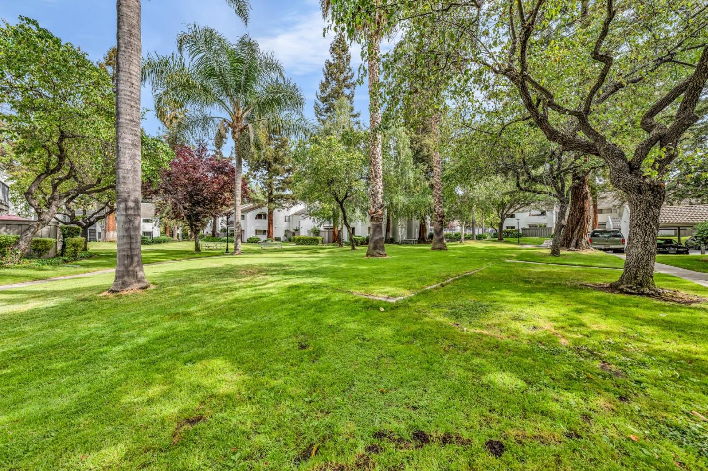 Detail Gallery Image 18 of 18 For 1055 N Capitol Ave #54,  San Jose,  CA 95133 - 1 Beds | 1 Baths