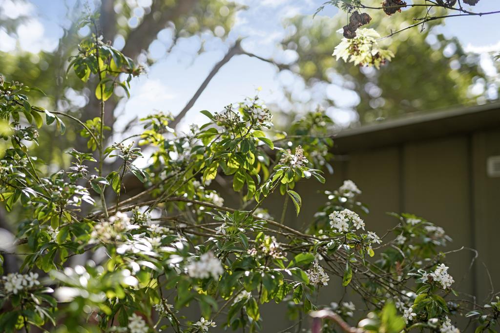 Detail Gallery Image 29 of 34 For 420 Clubhouse Dr, Aptos,  CA 95003 - 2 Beds | 1 Baths