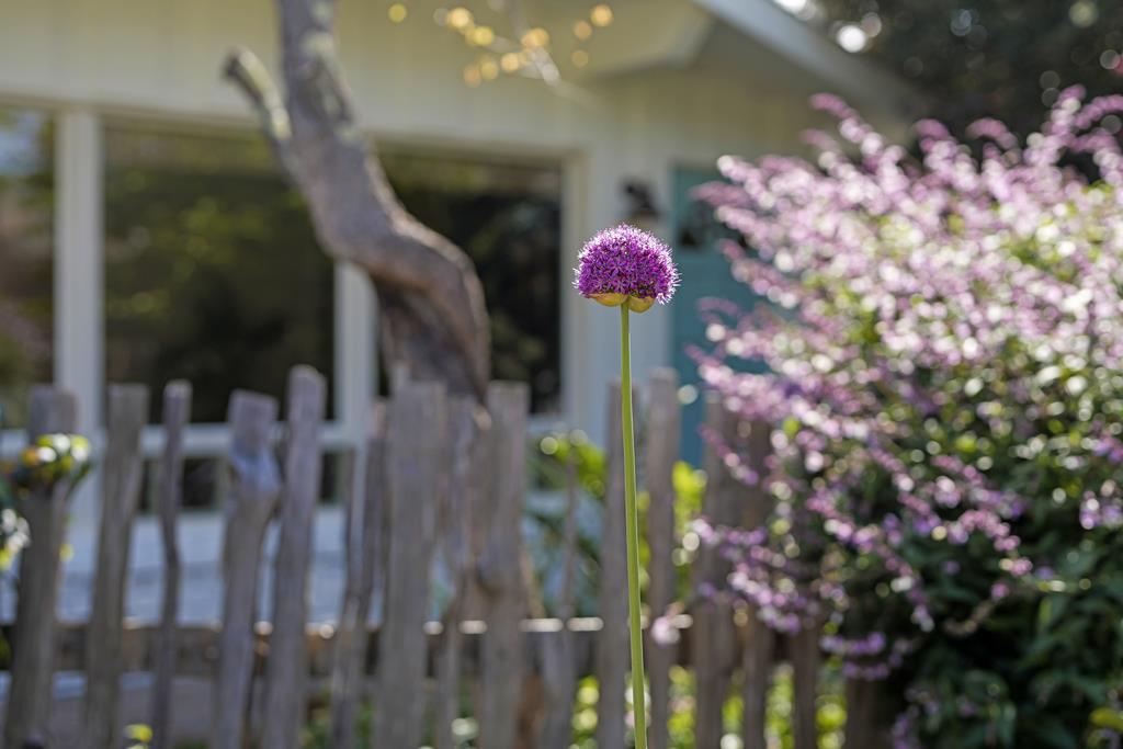 Detail Gallery Image 31 of 34 For 420 Clubhouse Dr, Aptos,  CA 95003 - 2 Beds | 1 Baths