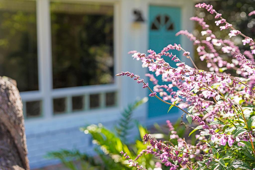 Detail Gallery Image 4 of 34 For 420 Clubhouse Dr, Aptos,  CA 95003 - 2 Beds | 1 Baths