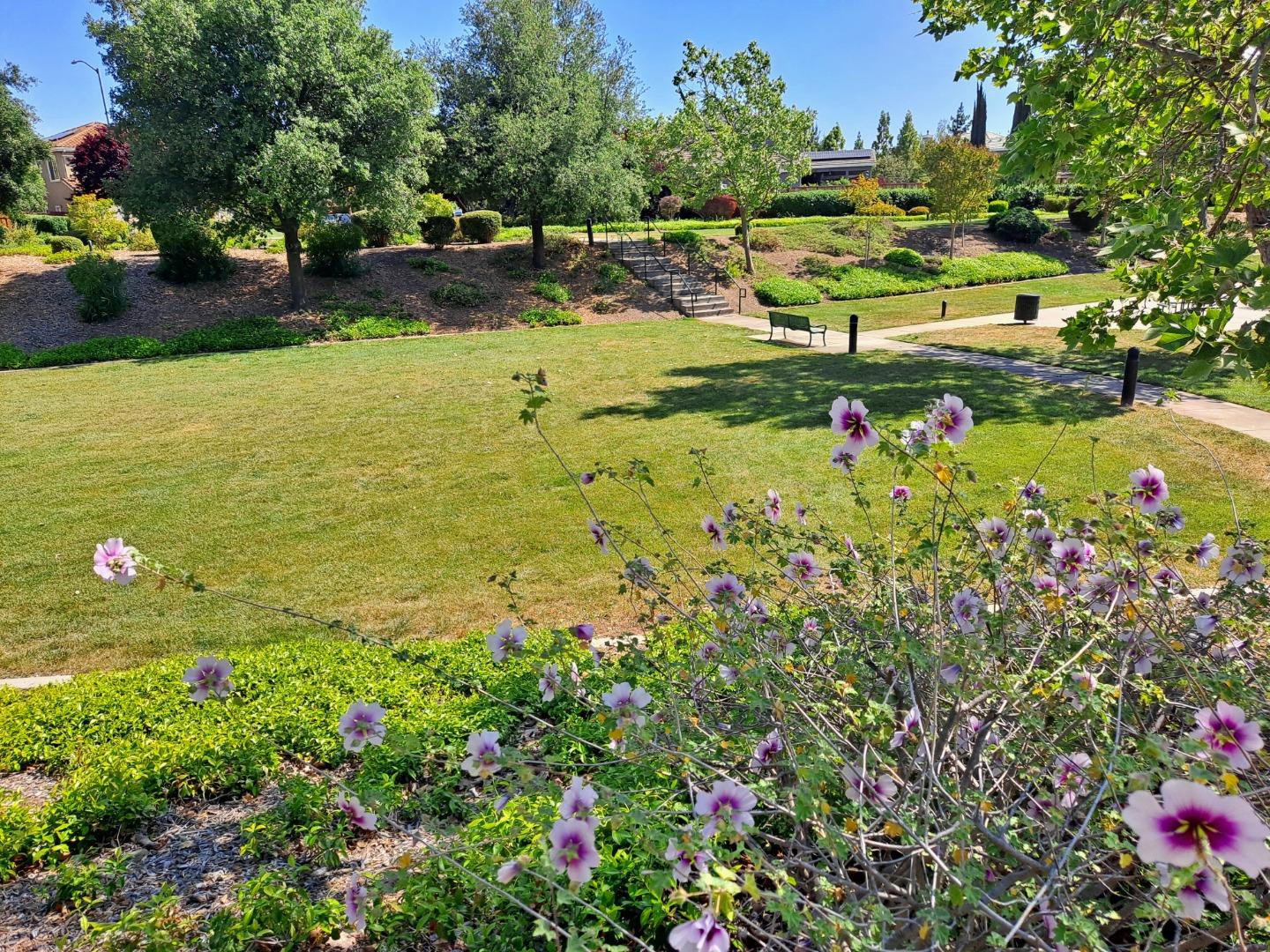 Detail Gallery Image 49 of 54 For 18345 Serra Avenida, Morgan Hill,  CA 95037 - 4 Beds | 3/1 Baths
