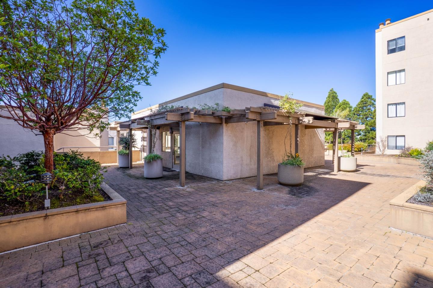 Detail Gallery Image 1 of 28 For 545 Pierce St #3301,  Albany,  CA 94706 - 2 Beds | 2 Baths