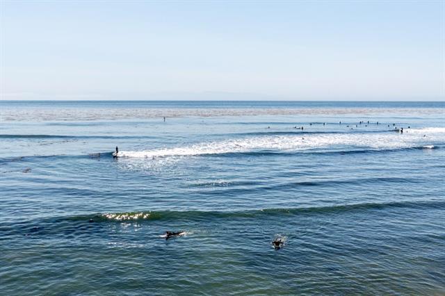 Detail Gallery Image 46 of 49 For 998 38th Ave #11,  Santa Cruz,  CA 95062 - 2 Beds | 2 Baths