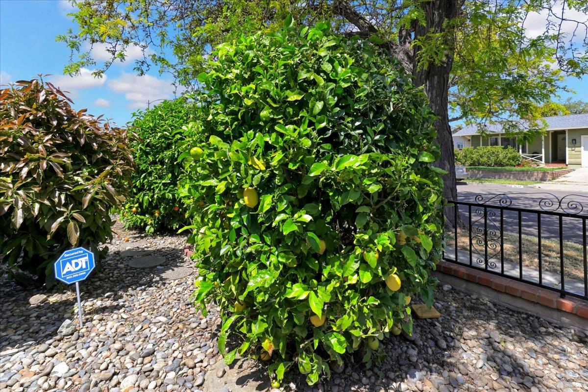 Detail Gallery Image 47 of 51 For 3139 Laneview Dr, San Jose,  CA 95132 - 5 Beds | 2/1 Baths