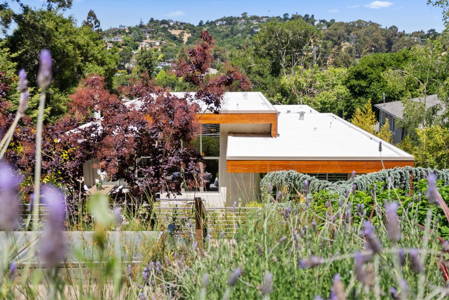 Detail Gallery Image 46 of 58 For 211 Manor Dr, San Carlos,  CA 94070 - 3 Beds | 2 Baths