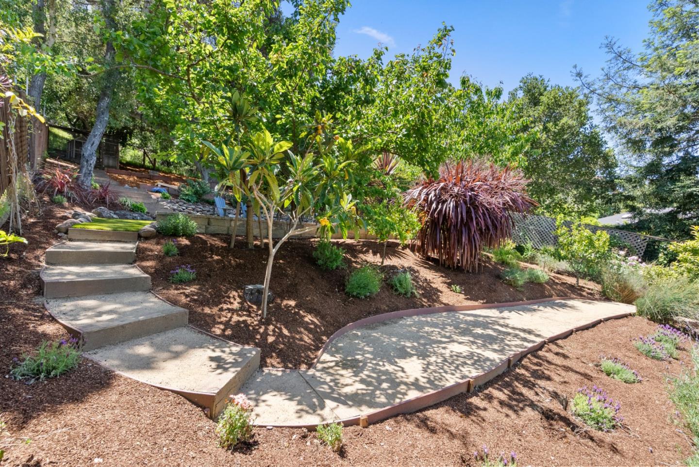 Detail Gallery Image 48 of 58 For 211 Manor Dr, San Carlos,  CA 94070 - 3 Beds | 2 Baths