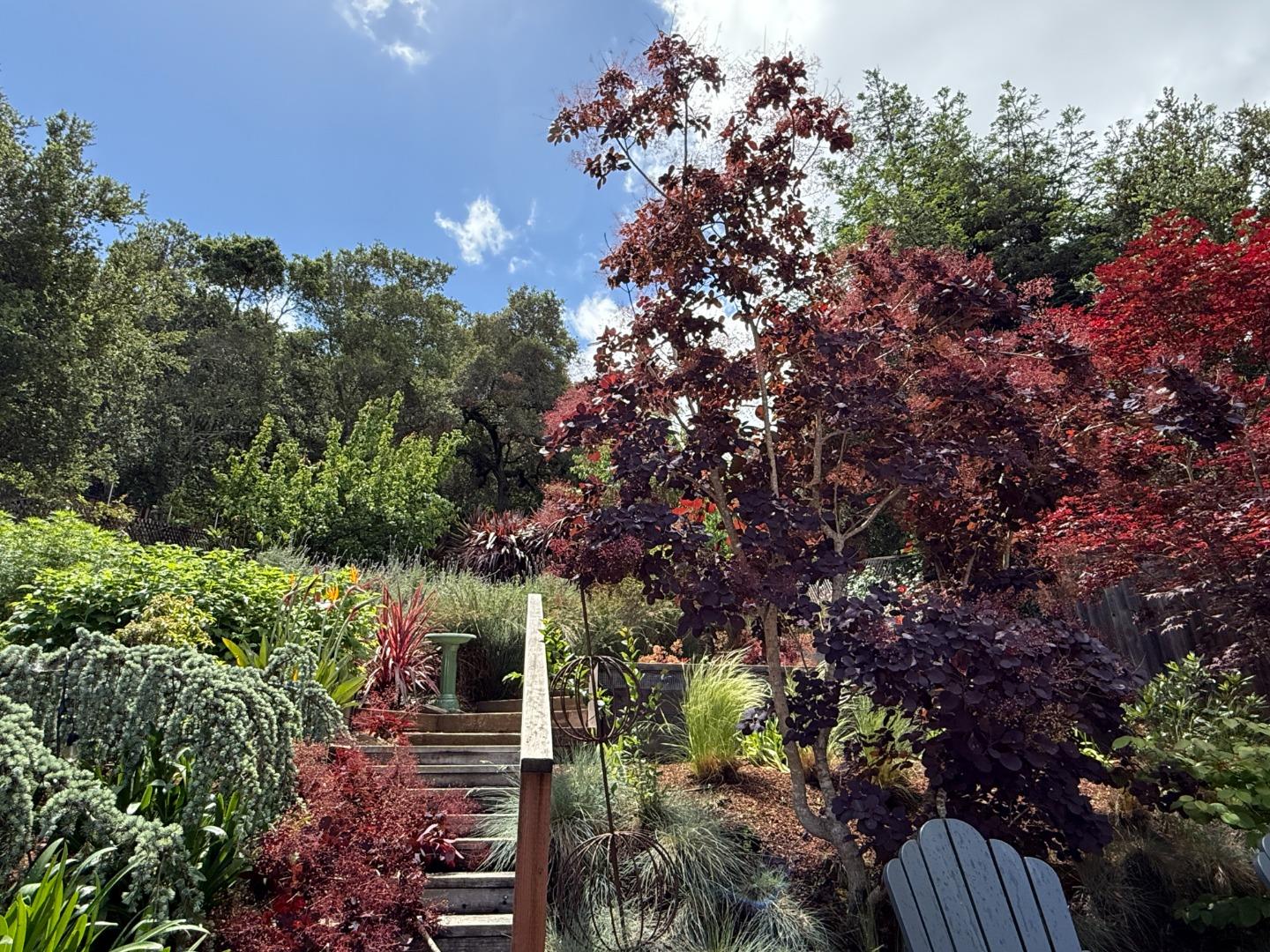 Detail Gallery Image 58 of 58 For 211 Manor Dr, San Carlos,  CA 94070 - 3 Beds | 2 Baths