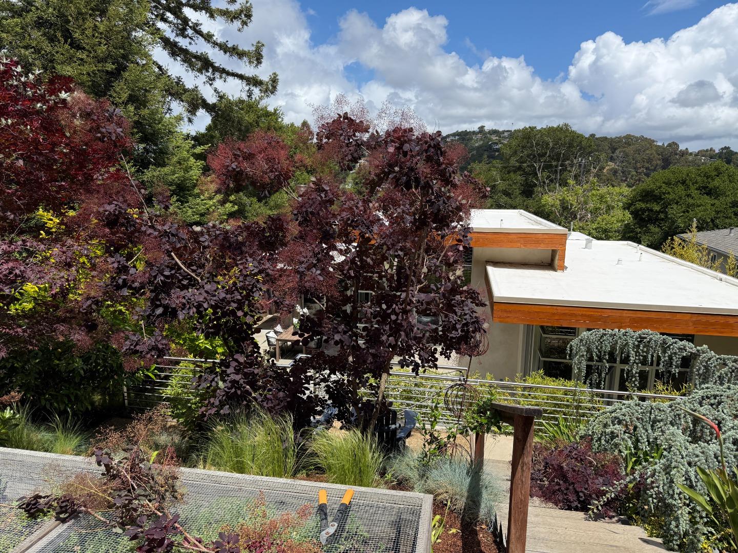 Detail Gallery Image 62 of 62 For 211 Manor Dr, San Carlos,  CA 94070 - 3 Beds | 2 Baths