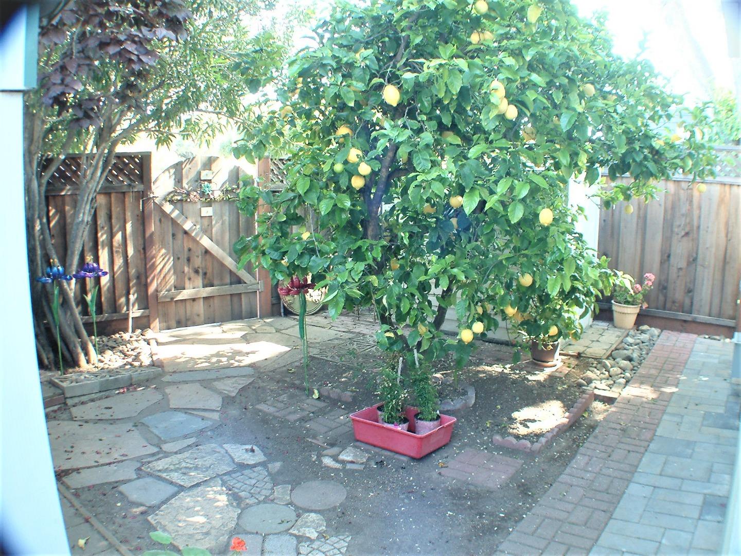 Detail Gallery Image 4 of 28 For 14685 Oka Rd #2,  Los Gatos,  CA 95032 - 2 Beds | 2 Baths