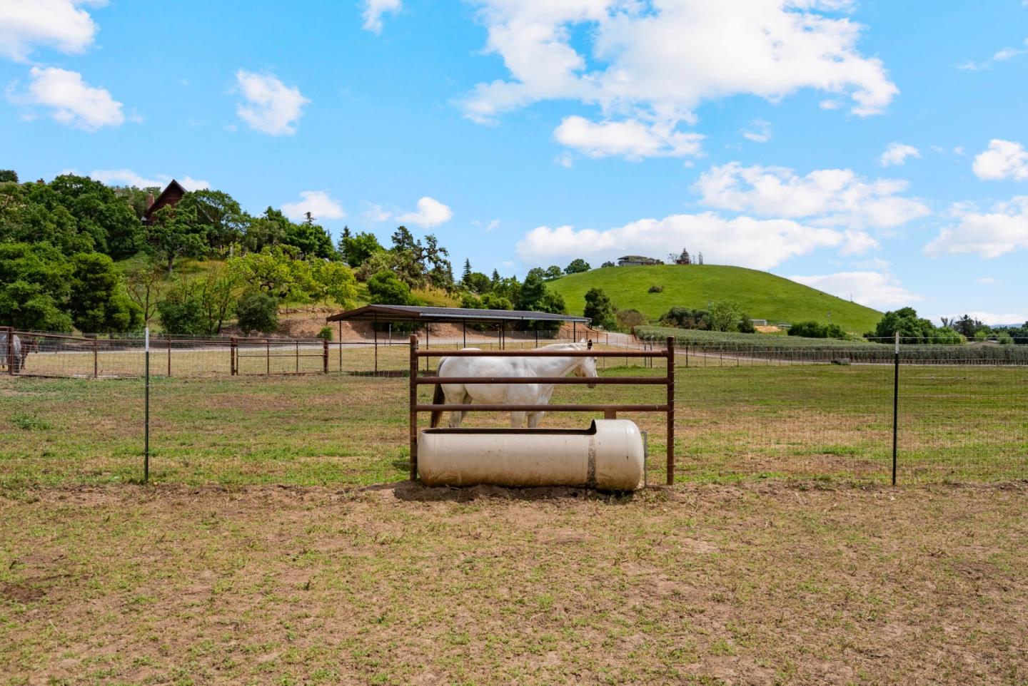 Detail Gallery Image 13 of 67 For 804 Comstock Rd, Hollister,  CA 95023 - 4 Beds | 2 Baths