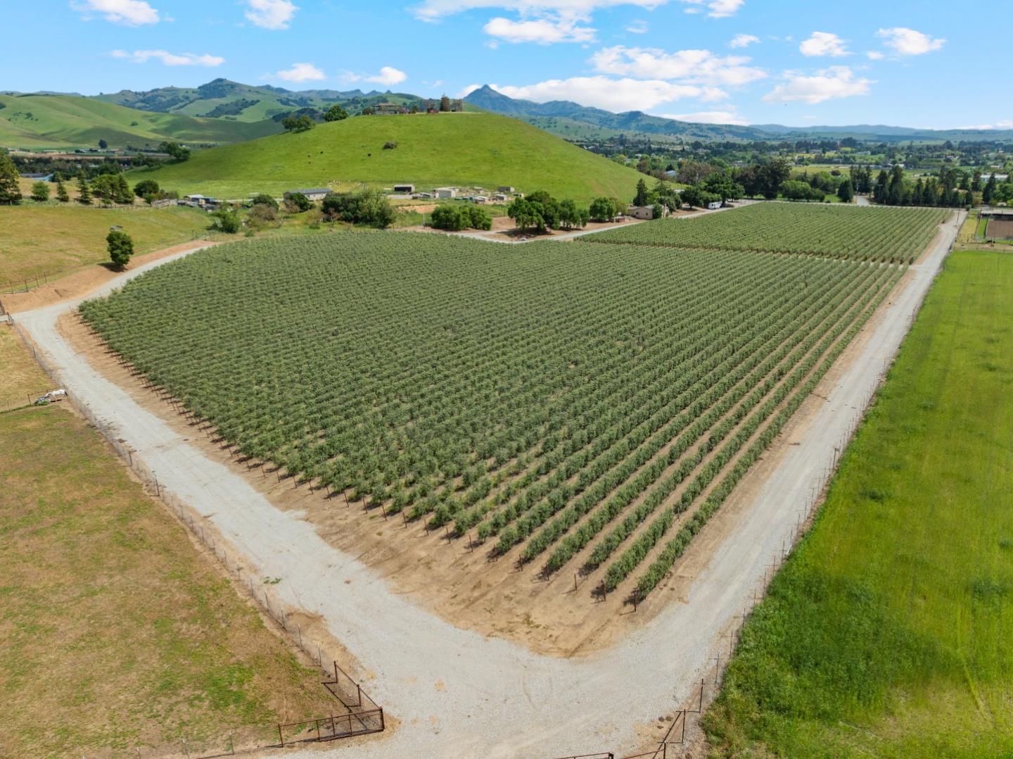 Detail Gallery Image 4 of 67 For 804 Comstock Rd, Hollister,  CA 95023 - 4 Beds | 2 Baths