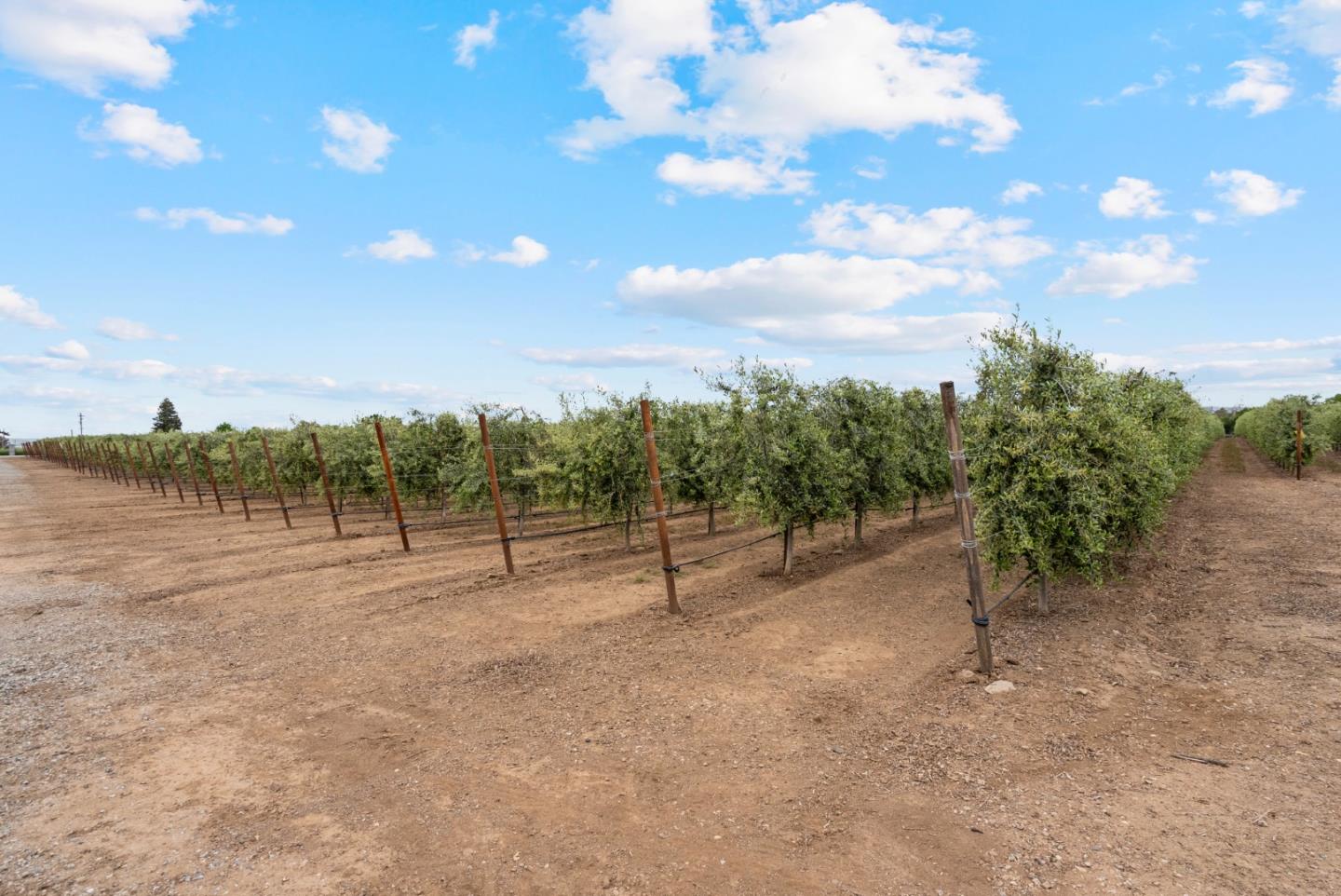 Detail Gallery Image 65 of 67 For 804 Comstock Rd, Hollister,  CA 95023 - 4 Beds | 2 Baths