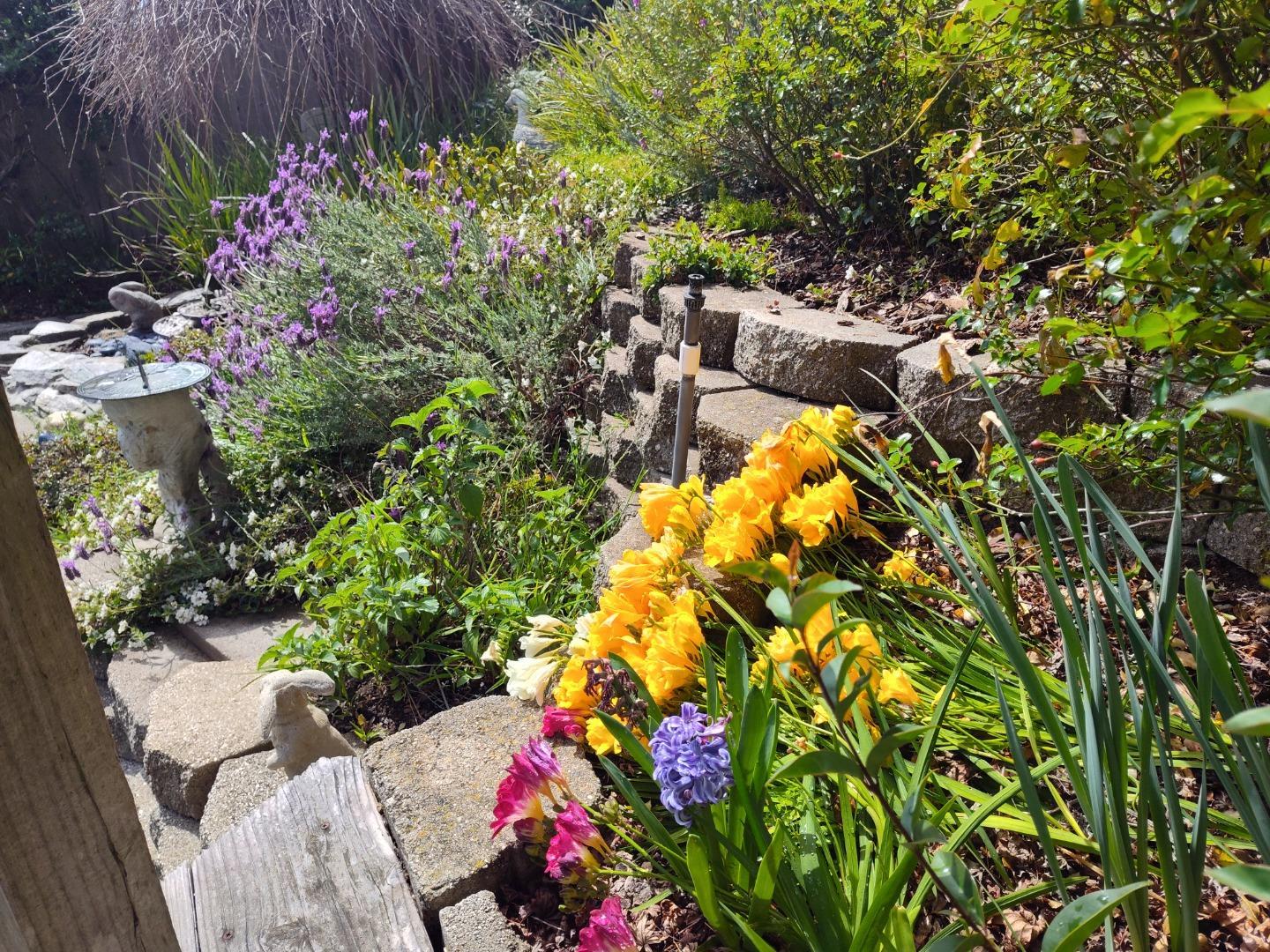 Detail Gallery Image 35 of 44 For 2425 Benson Ave, Santa Cruz,  CA 95065 - 4 Beds | 2/1 Baths