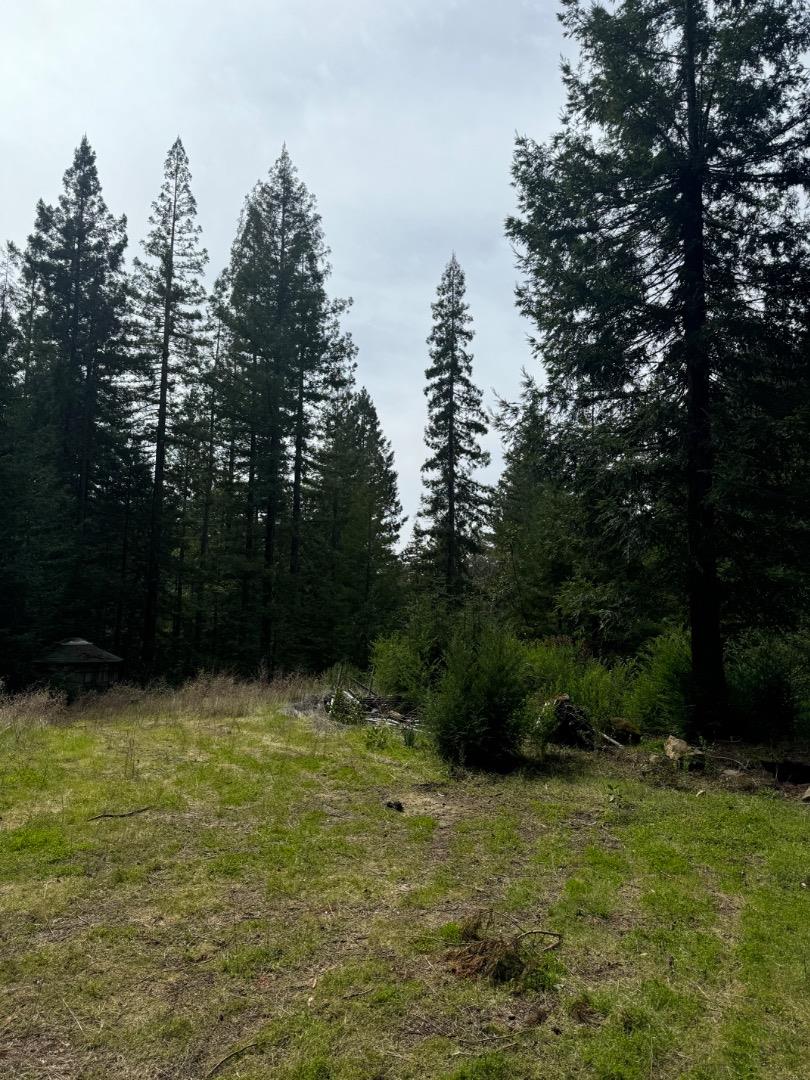 320 Timber Cove, Boulder Creek, CA, 95006
