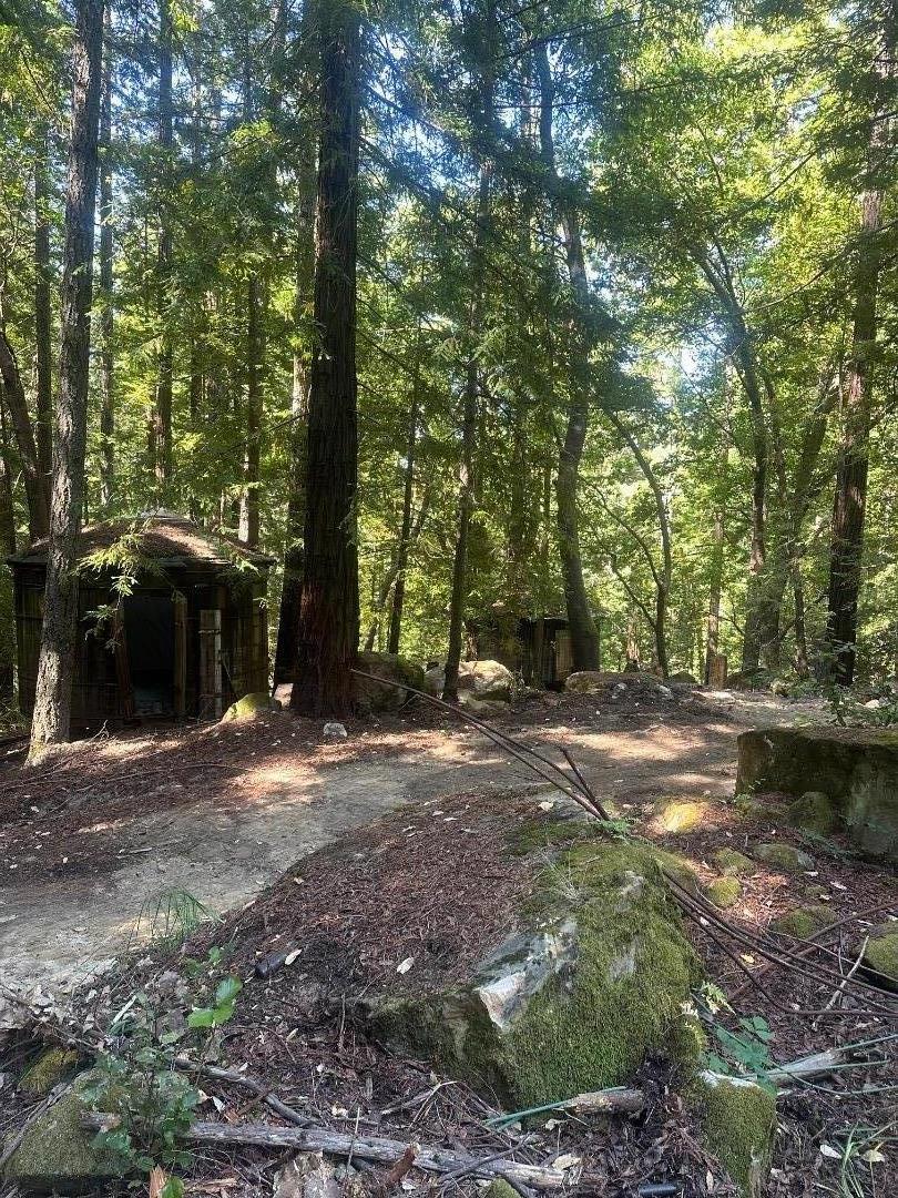 320 Timber Cove, Boulder Creek, CA, 95006
