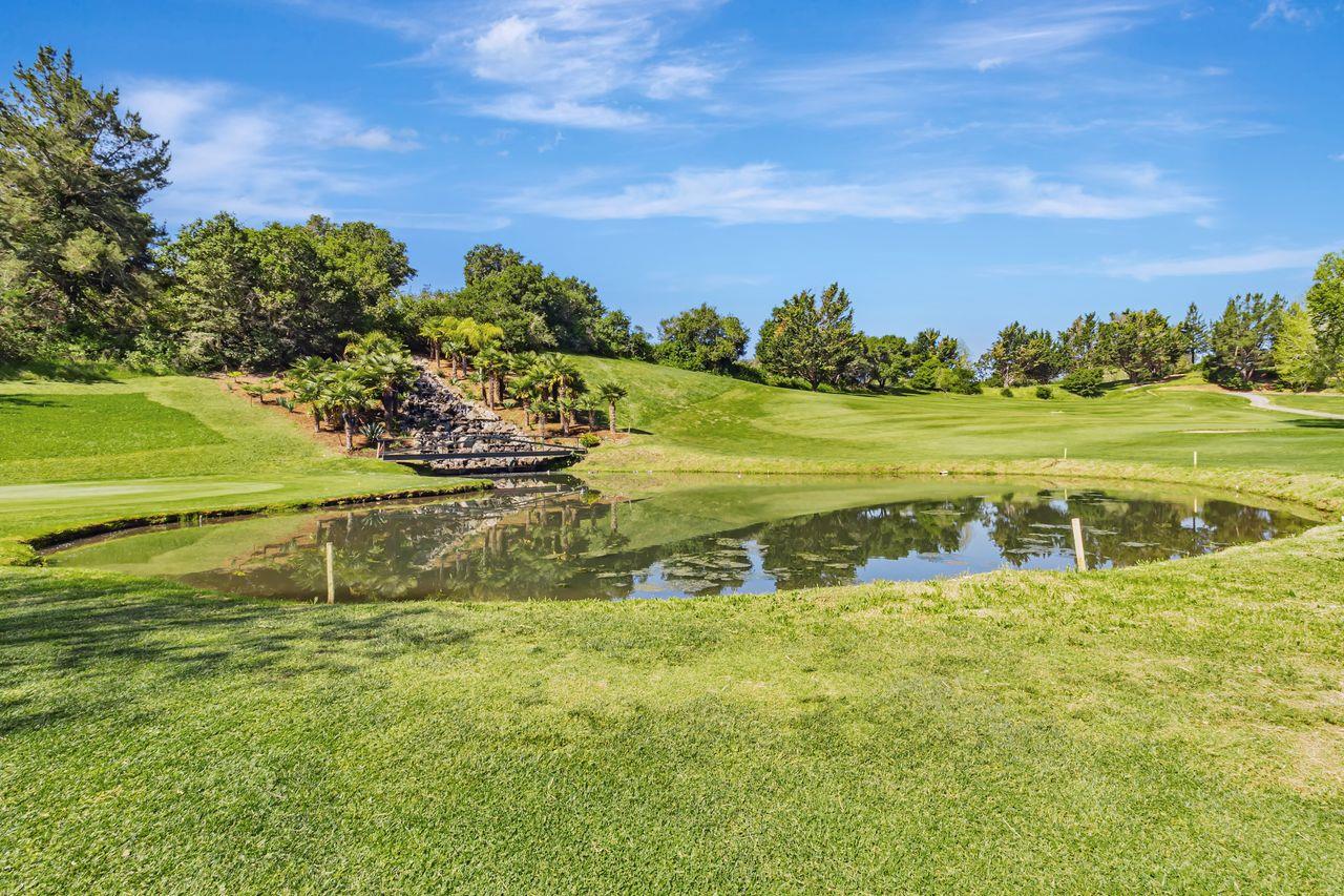 Detail Gallery Image 20 of 61 For 501 Spring Hills Dr, Watsonville,  CA 95076 - – Beds | – Baths