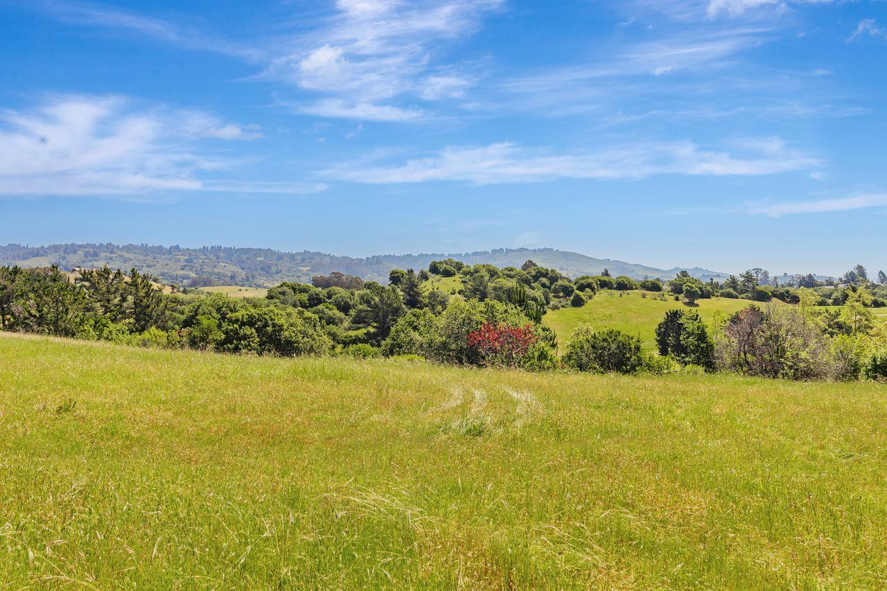 Detail Gallery Image 43 of 61 For 501 Spring Hills Dr, Watsonville,  CA 95076 - – Beds | – Baths