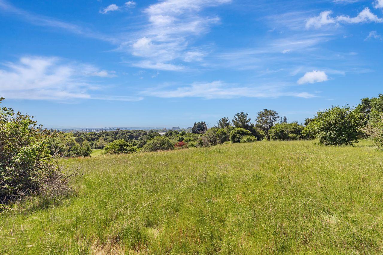 Detail Gallery Image 50 of 61 For 501 Spring Hills Dr, Watsonville,  CA 95076 - – Beds | – Baths