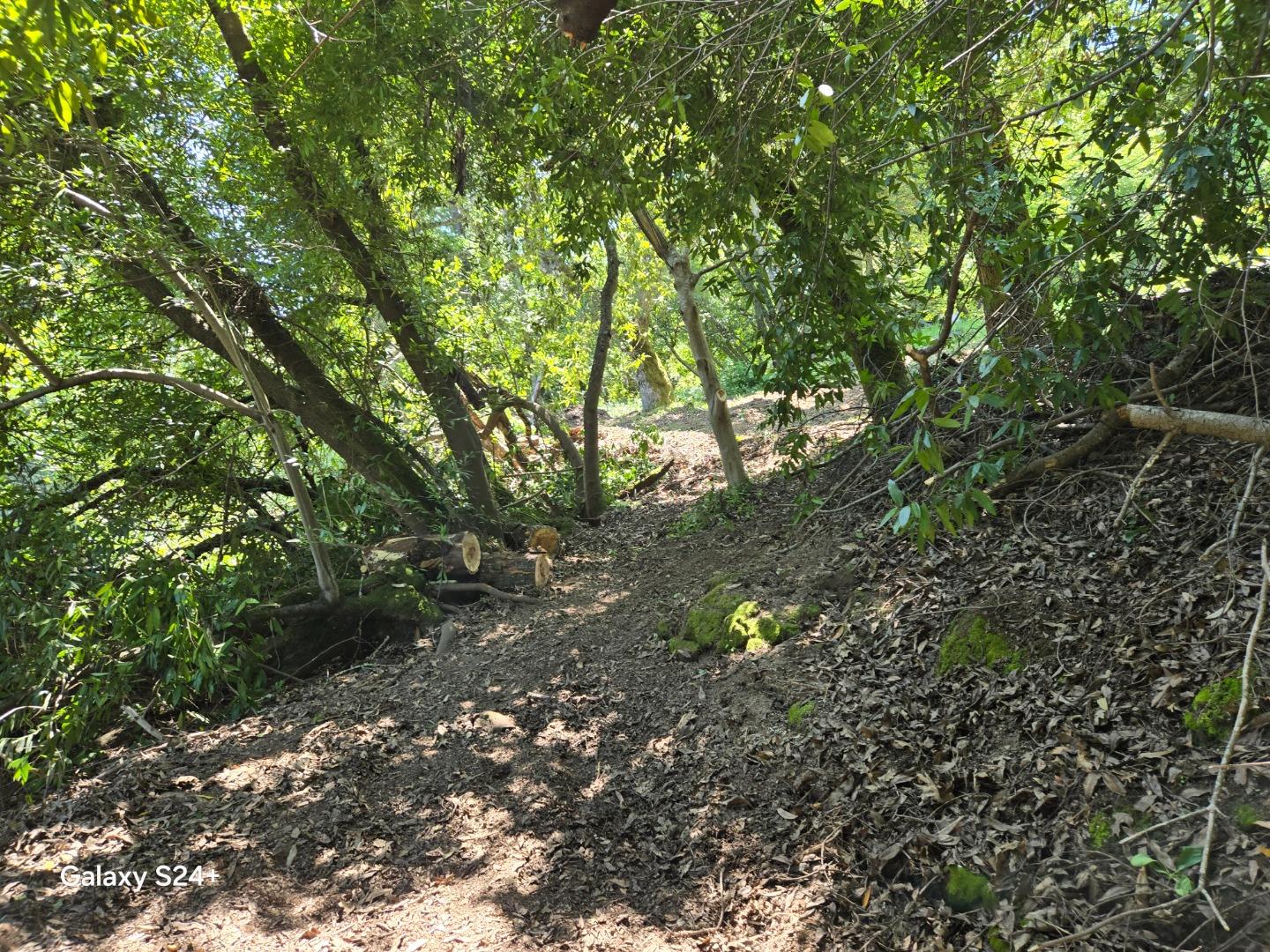 Detail Gallery Image 6 of 29 For 00 Oldsantacruzhwy, Los Gatos,  CA 95033 - – Beds | – Baths