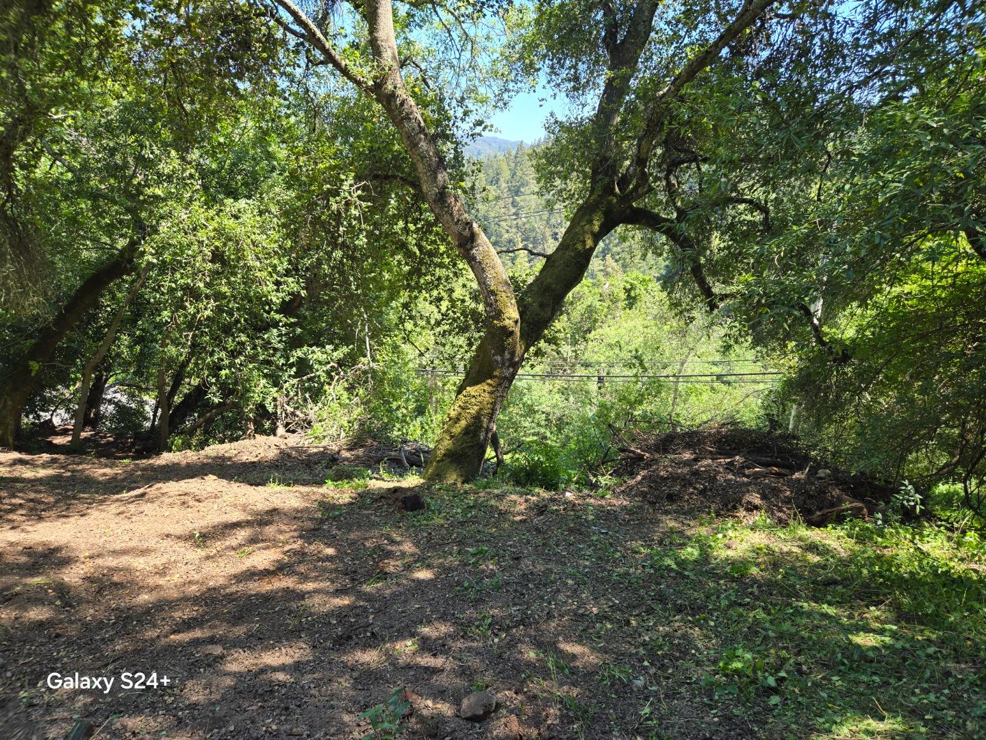 Detail Gallery Image 8 of 29 For 00 Oldsantacruzhwy, Los Gatos,  CA 95033 - – Beds | – Baths