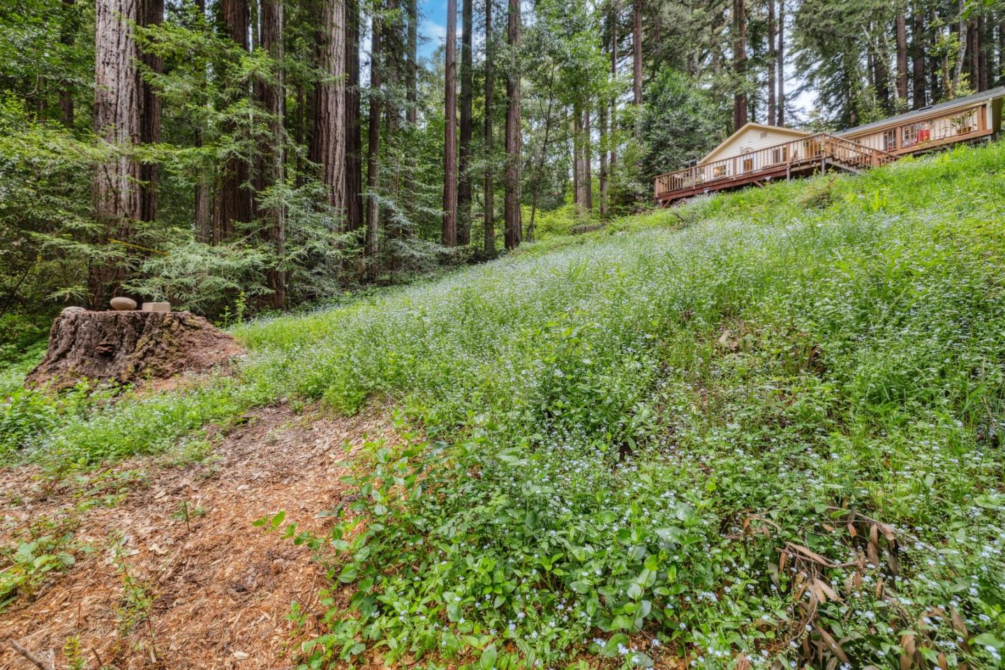 Detail Gallery Image 24 of 34 For 415 Gold Ave, Felton,  CA 95018 - 2 Beds | 2 Baths