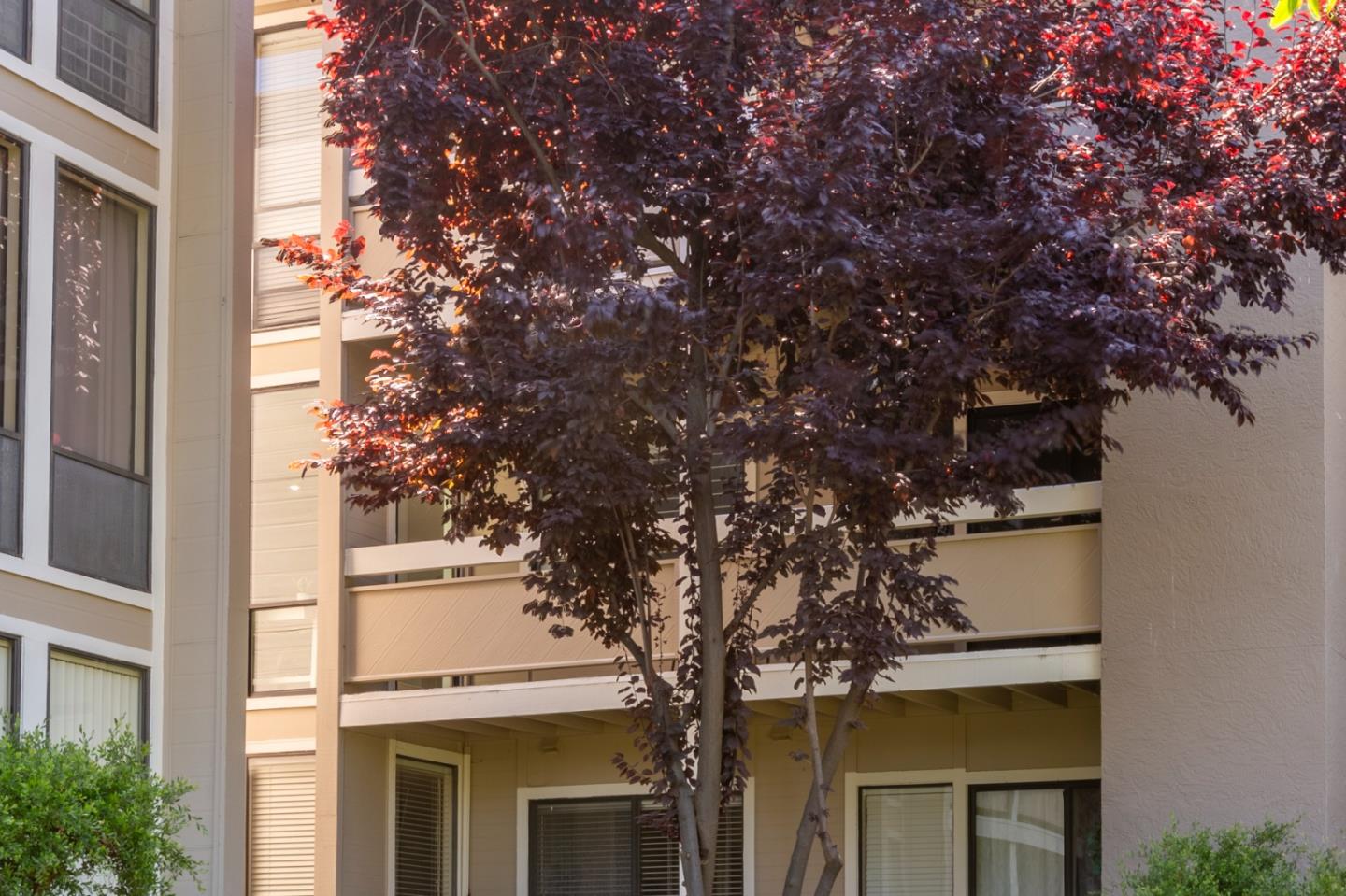 Detail Gallery Image 17 of 39 For 1061 Beach Park Blvd #216,  Foster City,  CA 94404 - 2 Beds | 2 Baths