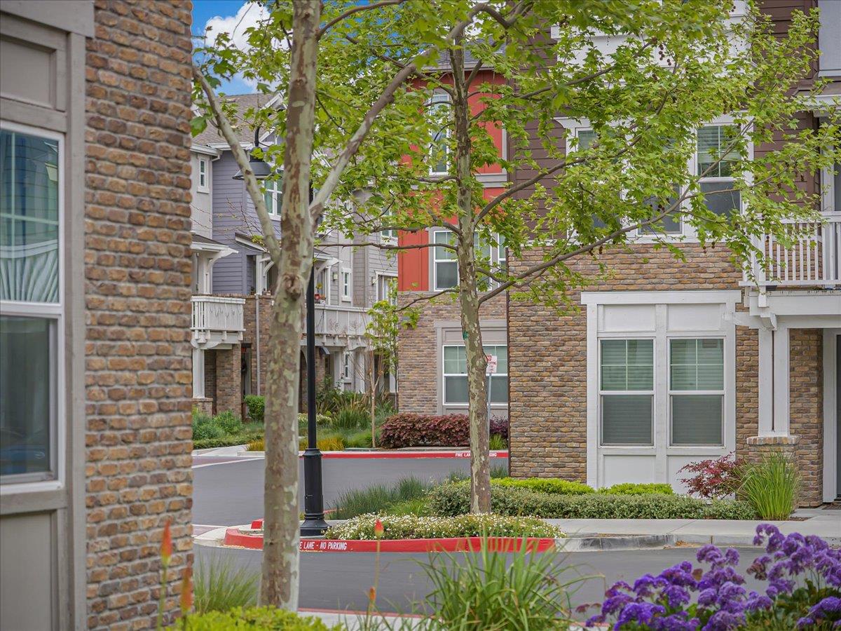 Detail Gallery Image 62 of 73 For 813 Galt Ter #3,  Sunnyvale,  CA 94085 - 3 Beds | 3/1 Baths