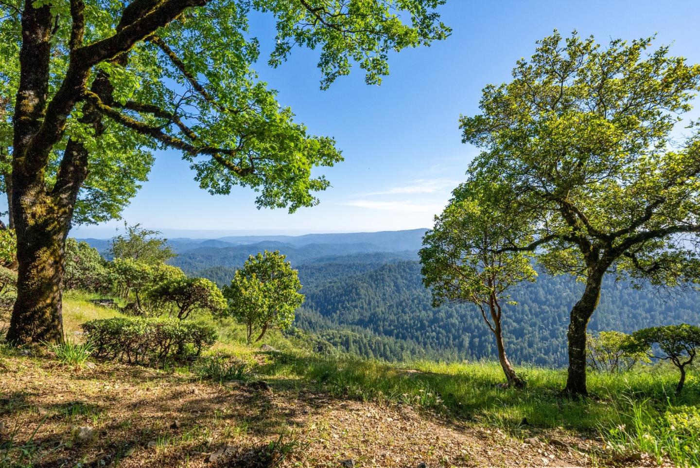 Detail Gallery Image 42 of 61 For 20243 Beatty Ridge Rd, Los Gatos,  CA 95033 - 3 Beds | 2/1 Baths